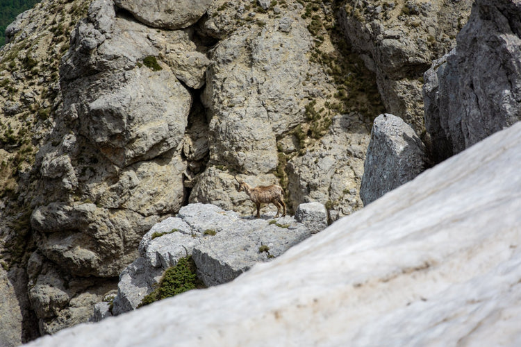 Extreme al Grande Anello delle Mainarde con terzo tempo alla Sagra della Pastorizia - Strike Adventure