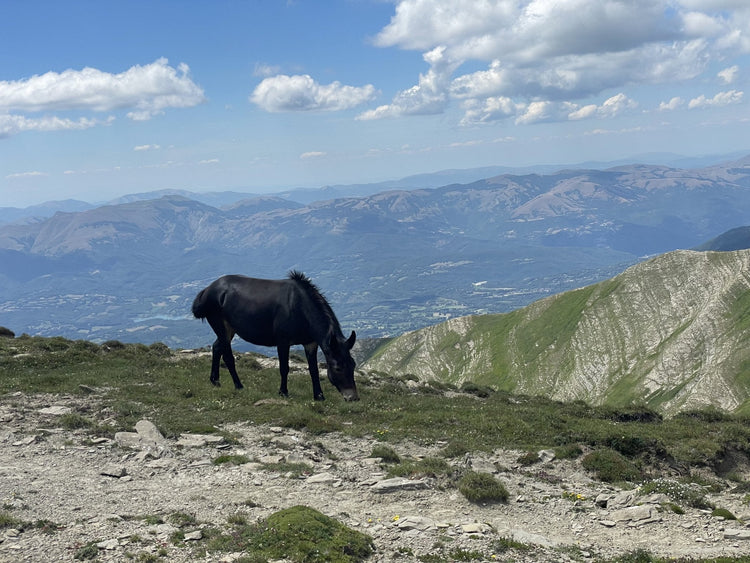 Extreme al Monte Gorzano per la Valle delle 100 fonti - Strike Adventure