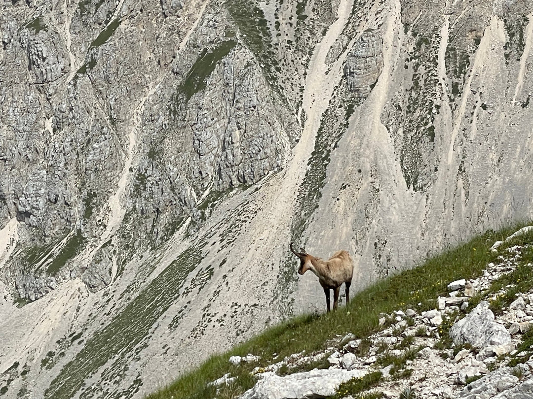 Extreme al Pizzo Intermesoli e alla Nord di Pizzo Cefalone - Strike Adventure