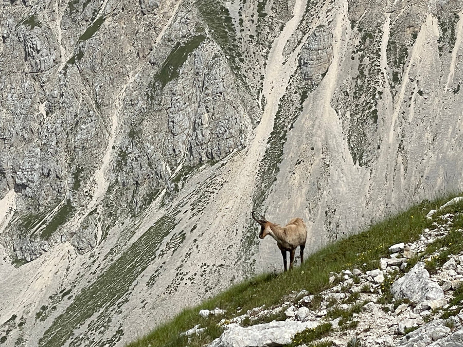 Extreme al Pizzo Intermesoli e alla Nord di Pizzo Cefalone - Strike Adventure