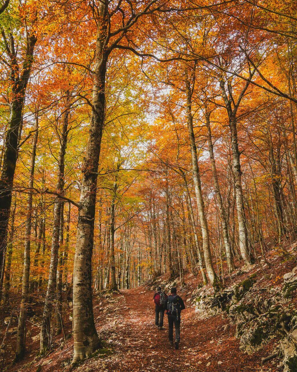 Trekking Forca D'Acero tra i magici colori del Foliage – Parco Nazionale d'Abruzzo, Lazio e Molise, Abruzzo | Strike Adventure