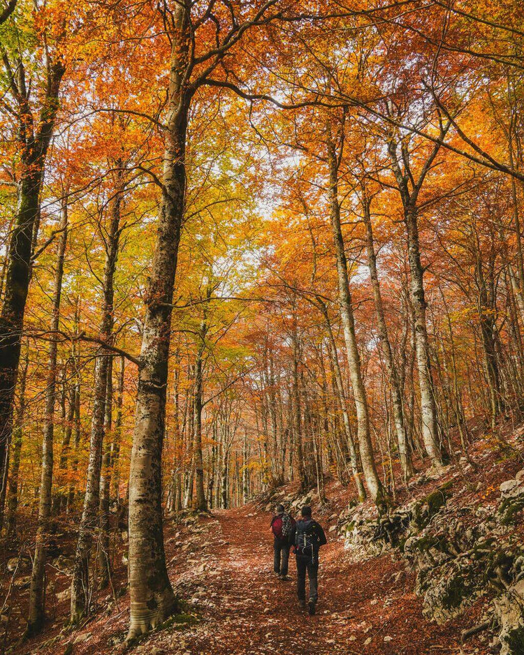 Trekking Forca D'Acero tra i magici colori del Foliage – Parco Nazionale d'Abruzzo, Lazio e Molise, Abruzzo | Strike Adventure
