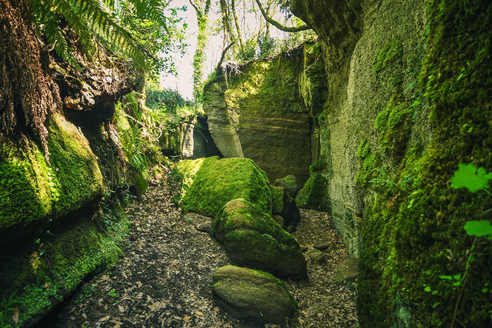 Grotte e Canyon Del Maschio D’Ariano - Strike Adventure