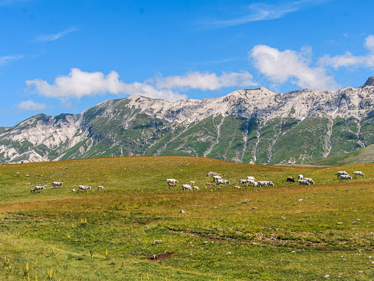 I Laghetti Di Campo Imperatore, Cima Faiete e terzo tempo al Rifugio Racollo - Strike Adventure