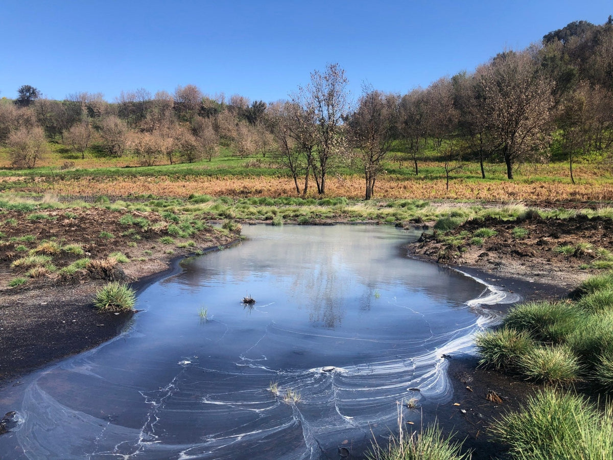 Trekking I Laghi della Solfatara: un'oasi naturale a due passi da Roma – Riserva Naturale Decima Malafede, Lazio | Strike Adventure