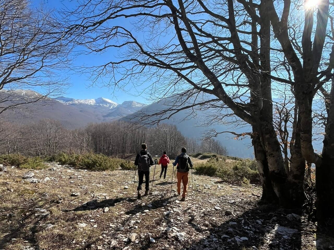 I Panorami a 360° di Monte San Rocco con Pranzo in Rifugio - Discover Experience