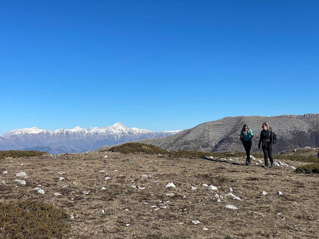 I Panorami a 360° di Monte San Rocco con Pranzo in Rifugio - Discover Experience