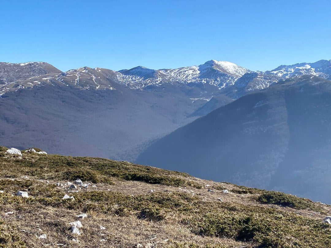 I Panorami a 360° di Monte San Rocco con Pranzo in Rifugio - Discover Experience