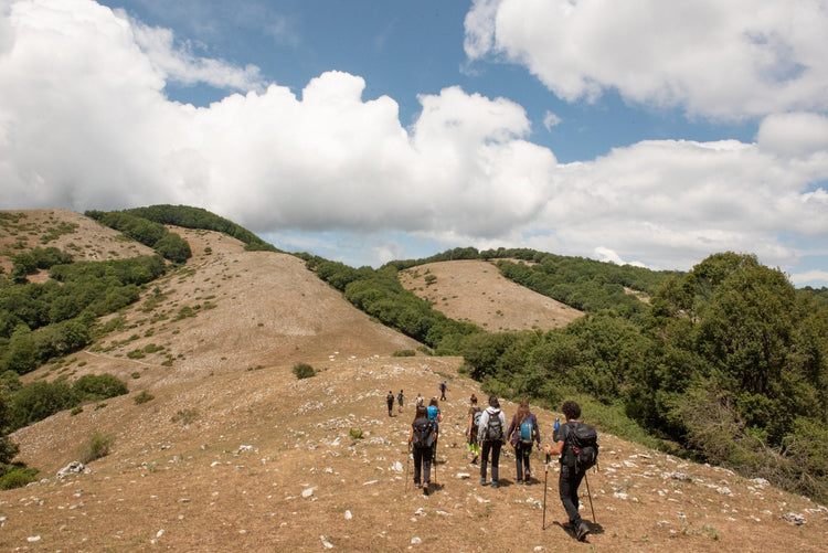 I Panorami di Monte Macchia Gelata con Pranzo al Rifugio Cognolo - Strike Adventure