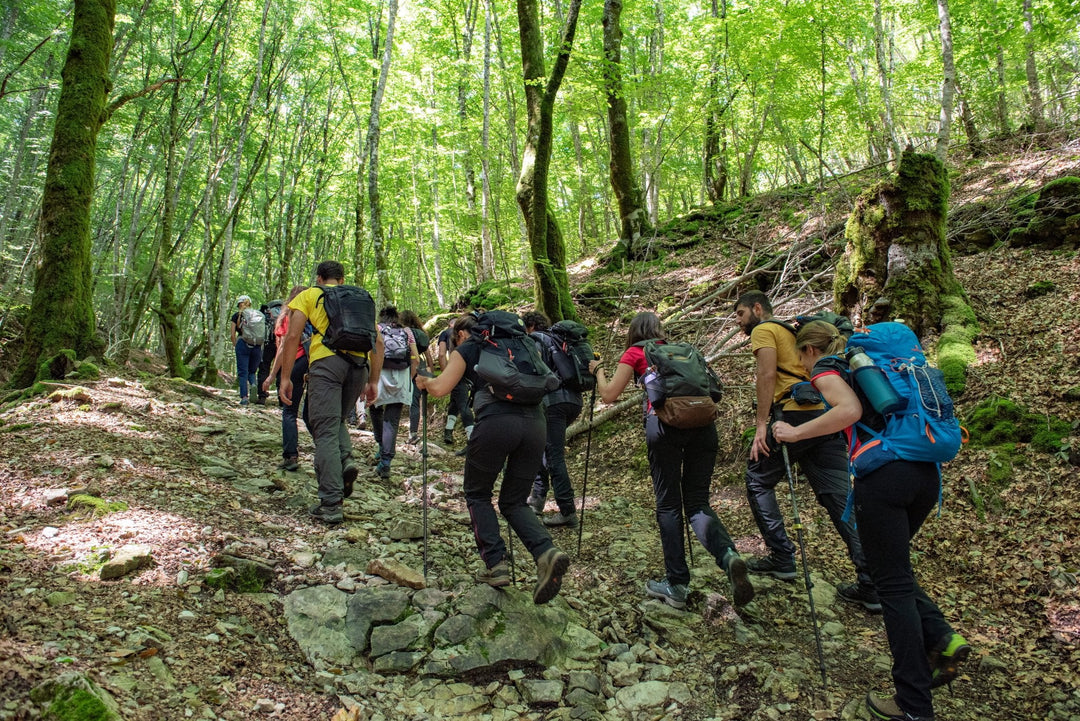 I Panorami di Monte Macchia Gelata con Pranzo al Rifugio Cognolo - Strike Adventure