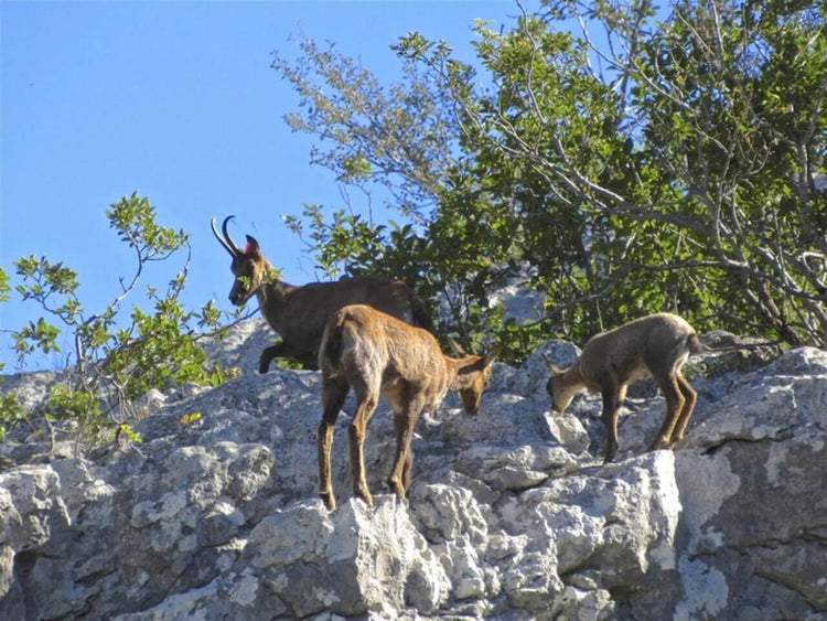 I Rifugi di Mandra Murata: lì dove nasce il Sirente - Strike Adventure