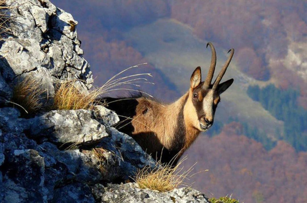 I Rifugi di Mandra Murata: lì dove nasce il Sirente - Strike Adventure