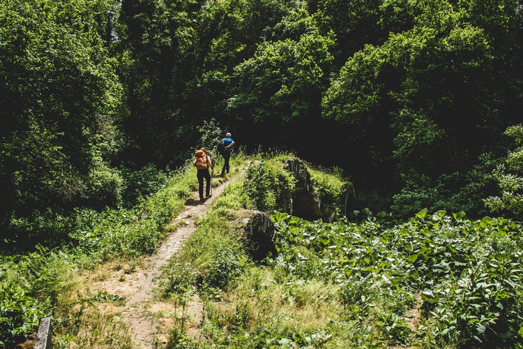 Il Cammino dei Tre Villaggi: l'escursione incantata - Strike Adventure