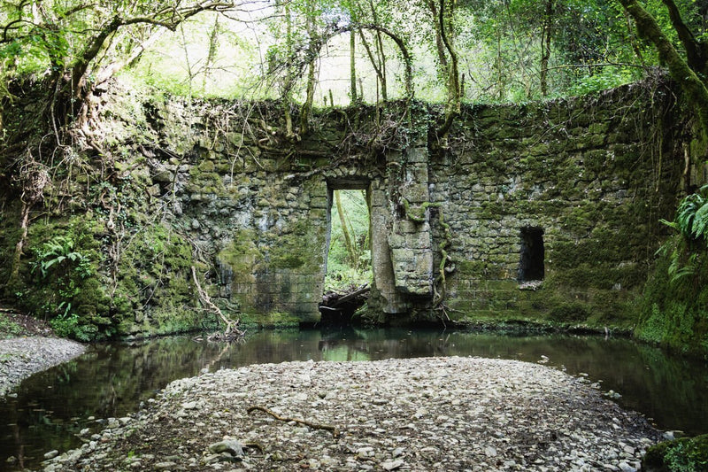 Immagine per Il Cammino dei Tre Villaggi: il cammino più corto d'Italia
