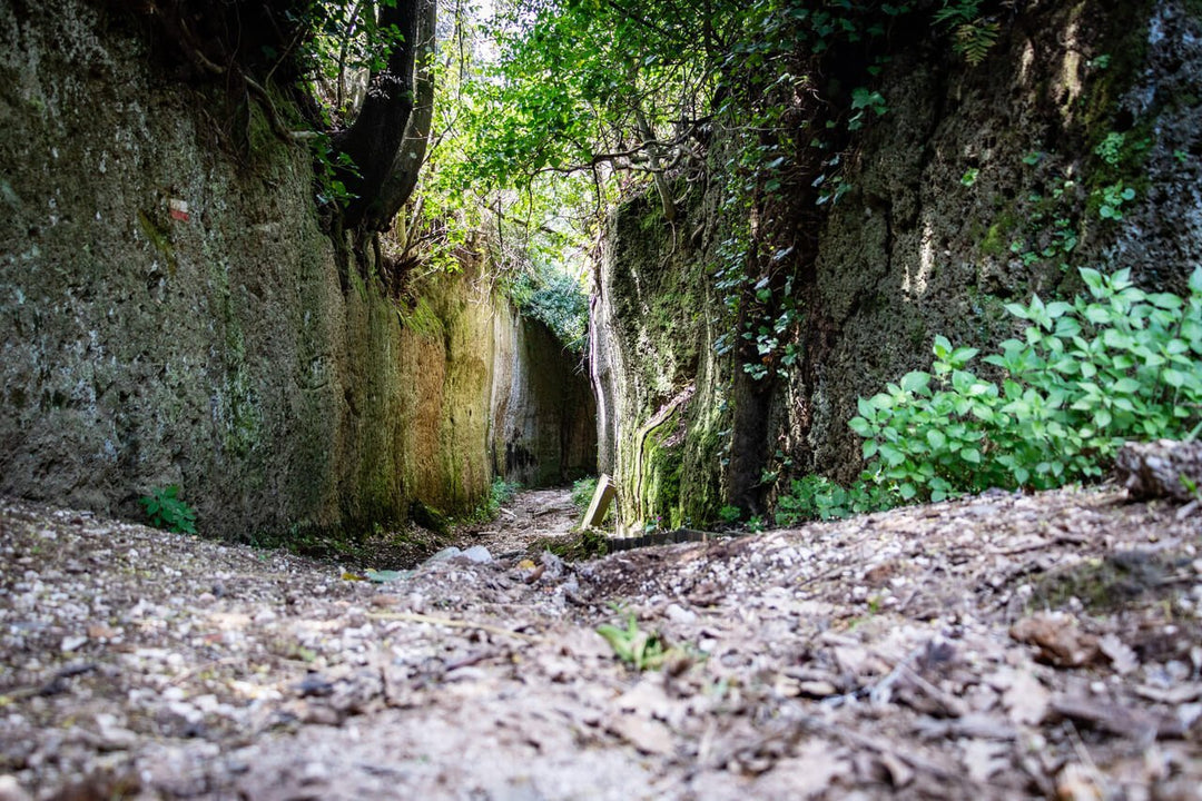 Il Cammino dei Tre Villaggi: l'escursione incantata - Strike Adventure