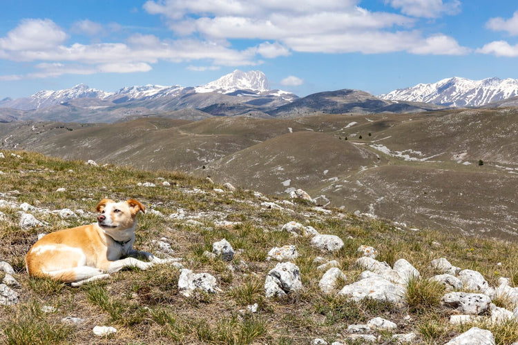 Il castello di Rocca Calascio e i panorami del Gran Sasso - Strike Adventure