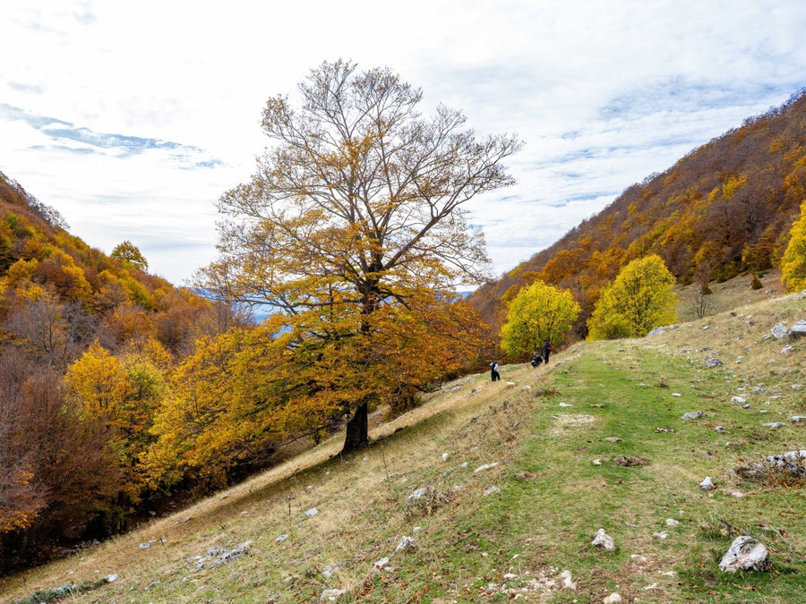 Trekking Il Lago della Duchessa con terzo tempo in birrificio – Riserva Naturale Regionale Montagne della Duchessa, Lazio | Strike Adventure