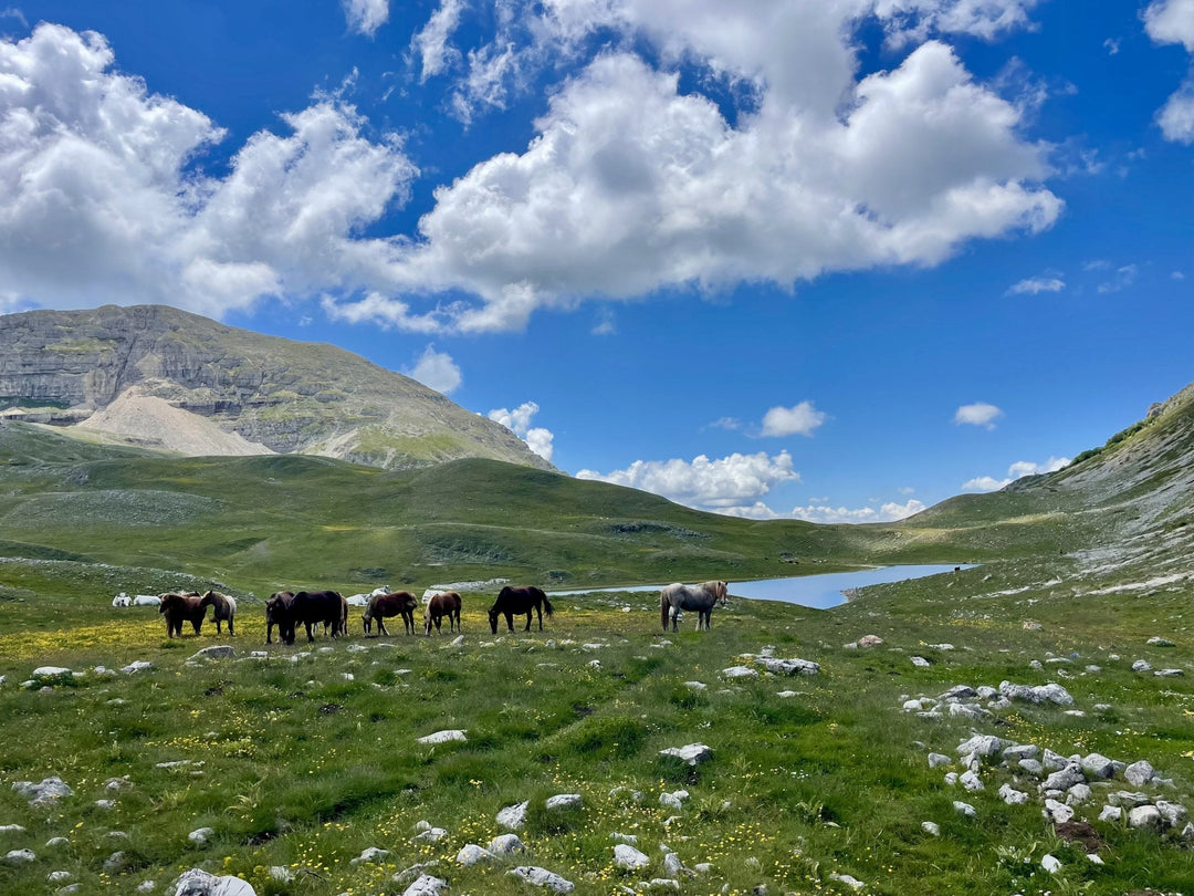 Il Lago della Duchessa e i mille colori delle fioriture primaverili - Strike Adventure
