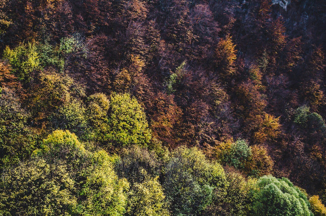 Trekking Il Lago della Duchessa tra i caldi colori del Foliage – Riserva Naturale Regionale Montagne della Duchessa, Lazio | Strike Adventure