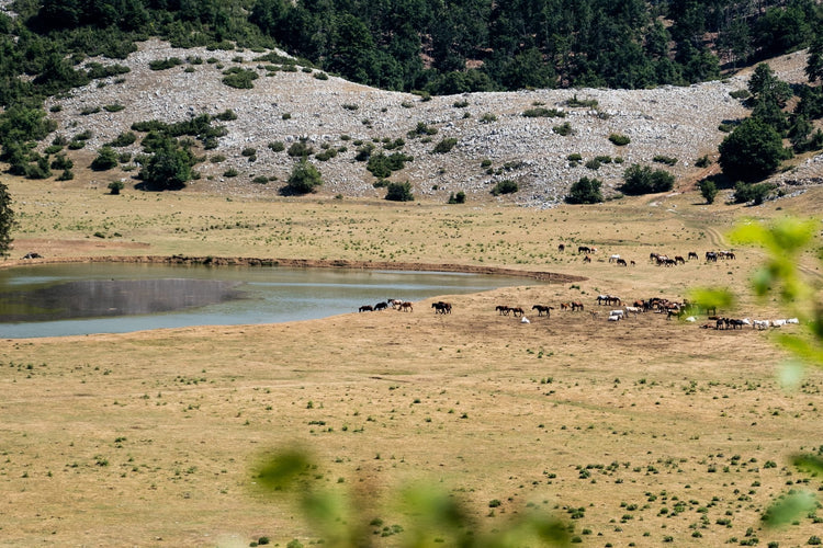 Il Monte Nuria e il lago di Rascino - Strike Adventure