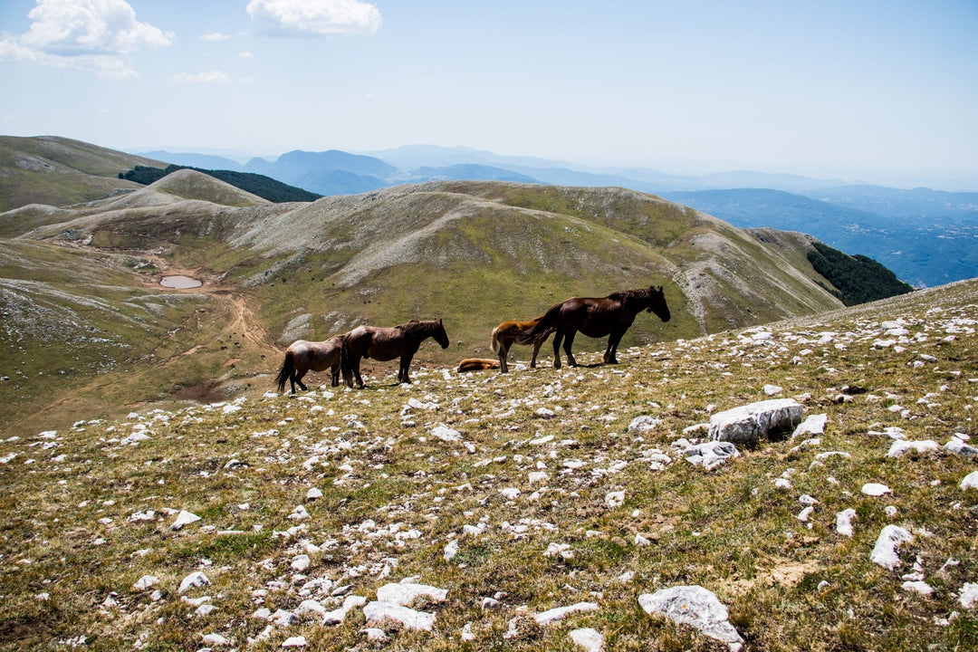 Il Monte Nuria e il lago di Rascino - Strike Adventure