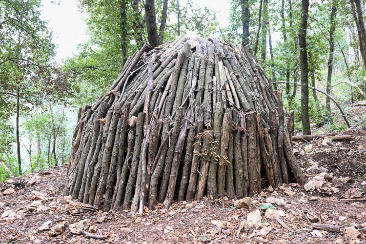 Il Sacro Monte Soratte e i suoi Eremi Segreti - Strike Adventure