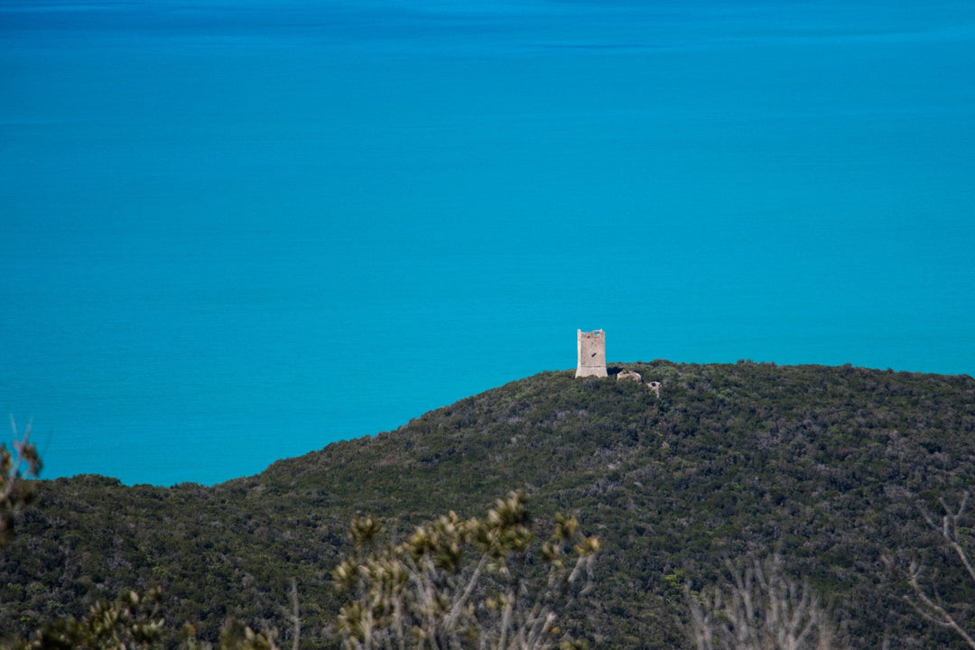 Il Parco Costiero più Bello d'Europa: sentieri, torri e spiagge della Maremma Toscana - Strike Adventure