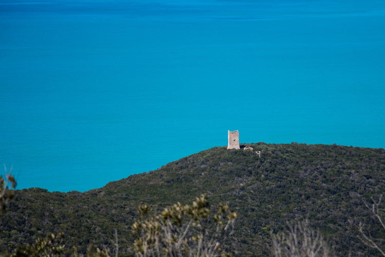 Il Parco Costiero più Bello d'Europa: sentieri, torri e spiagge della Maremma Toscana - Strike Adventure