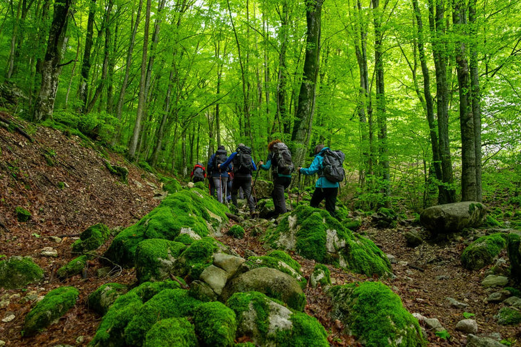 Il Rifugio Della Cicerana e la foresta vetusta di Selva Moricento - Strike Adventure