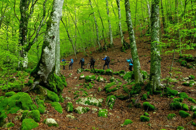 Il Rifugio Della Cicerana e la foresta vetusta di Selva Moricento - Strike Adventure