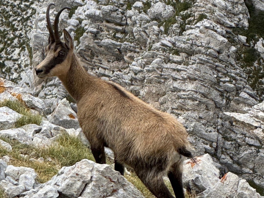 Il Trekking delle 5 Ferrate del Gran Sasso con notte in Rifugio a 2433 m - Strike Adventure
