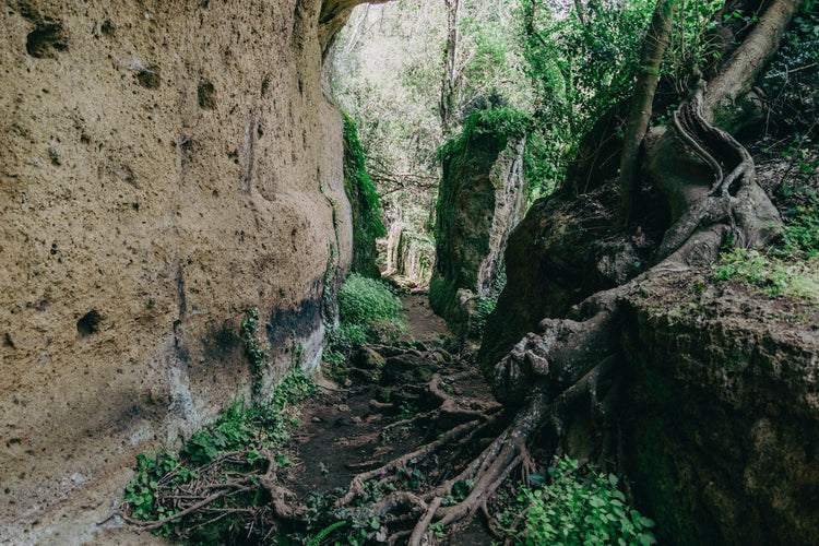 La Città Perduta di Norchia - Versione Wild - Strike Adventure