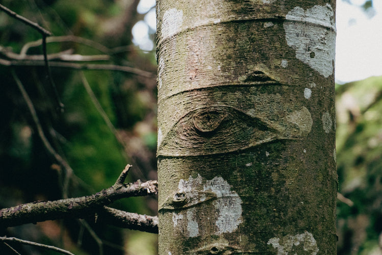 La Città Perduta di Norchia - Versione Wild - Strike Adventure