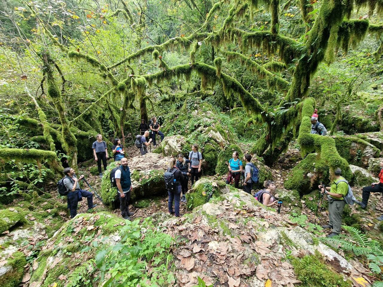 La Dolina Del Revotano e l’Eremo Di San Leonardo - Strike Adventure