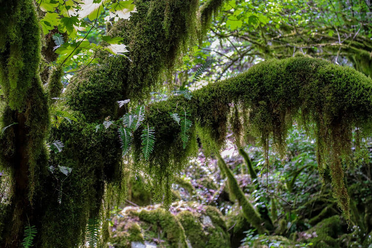La Dolina Del Revotano e l’Eremo Di San Leonardo - Strike Adventure