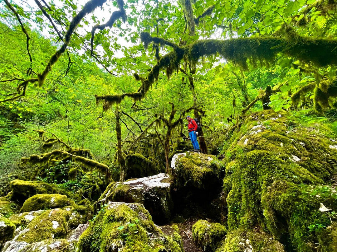 La Dolina Del Revotano e l’Eremo Di San Leonardo