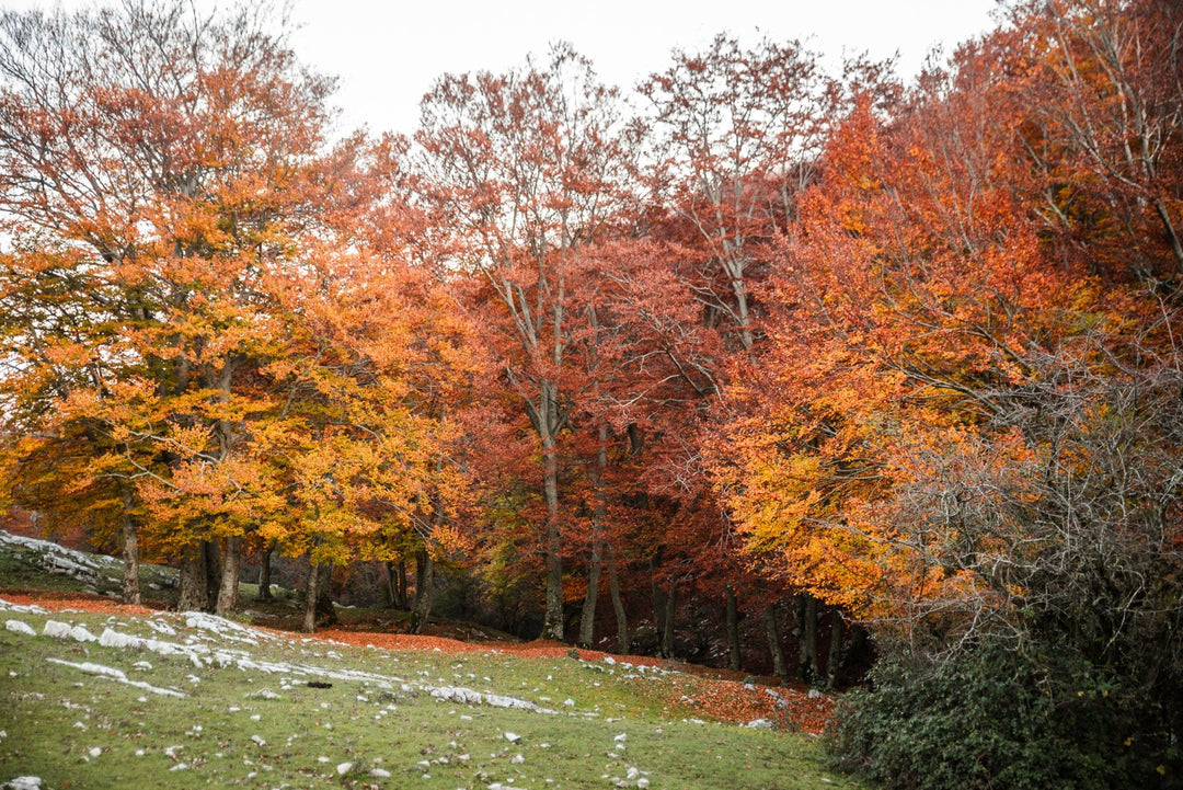 La gemma dei Lepini, dalla montagna al mare - Strike Adventure