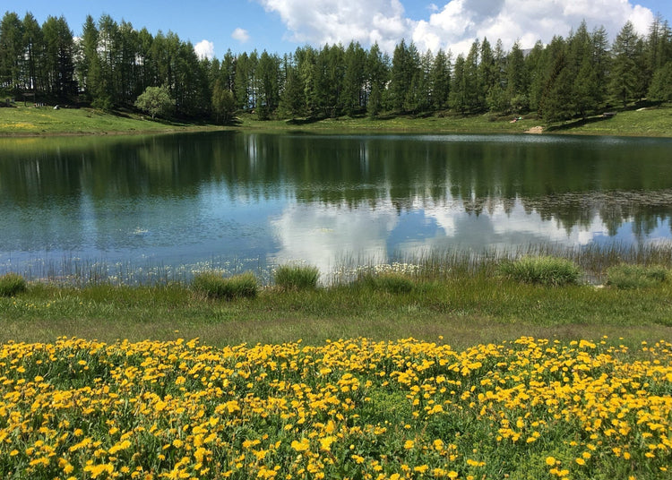 La Grande Balconata sul Cervino: un Trekking imperdibile! - Strike Adventure