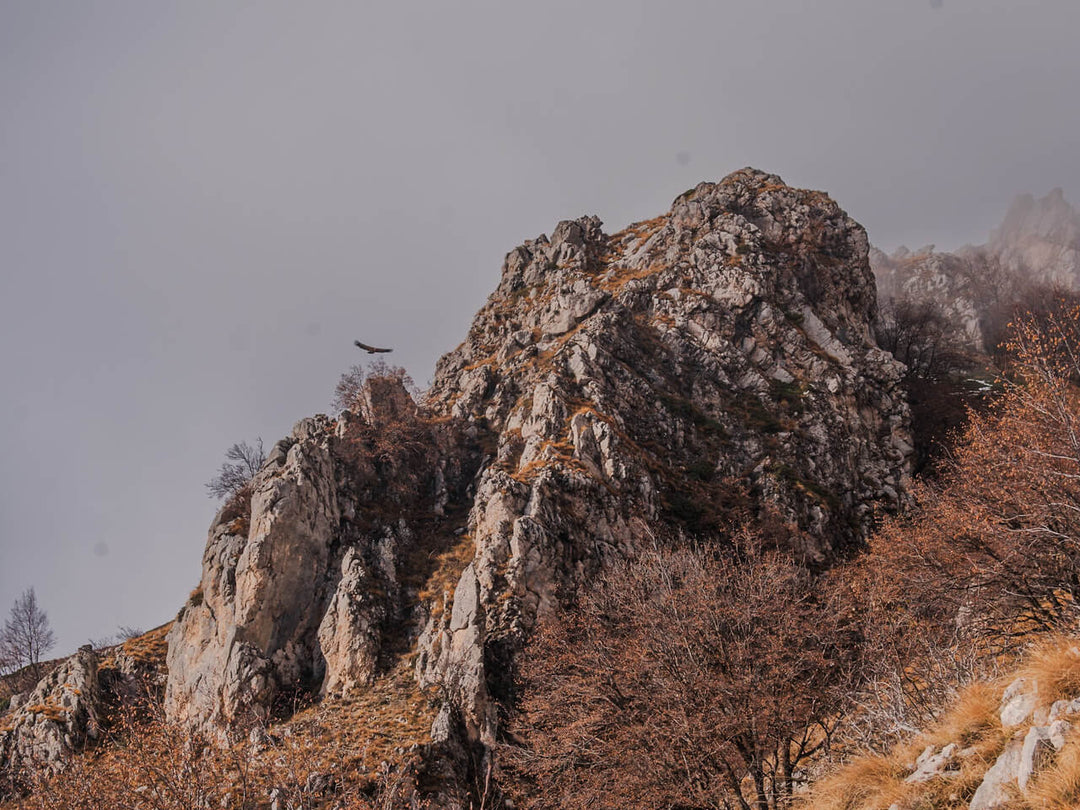La Grotta di San Benedetto e i panorami del Velino - Strike Adventure