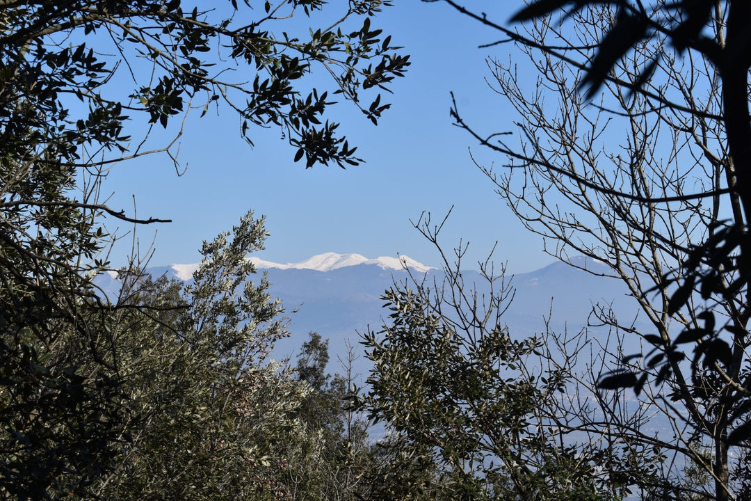 La Montagna di Dante e i suoi Panorami sul Mare - Strike Adventure