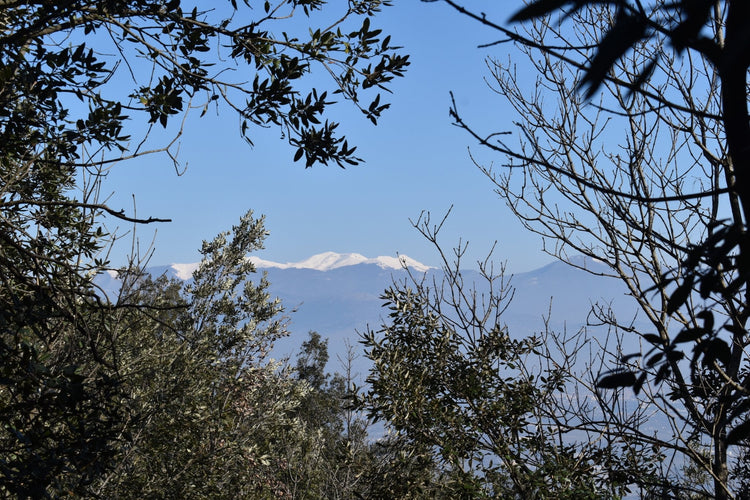 La Montagna di Dante e i suoi Panorami sul Mare - Strike Adventure