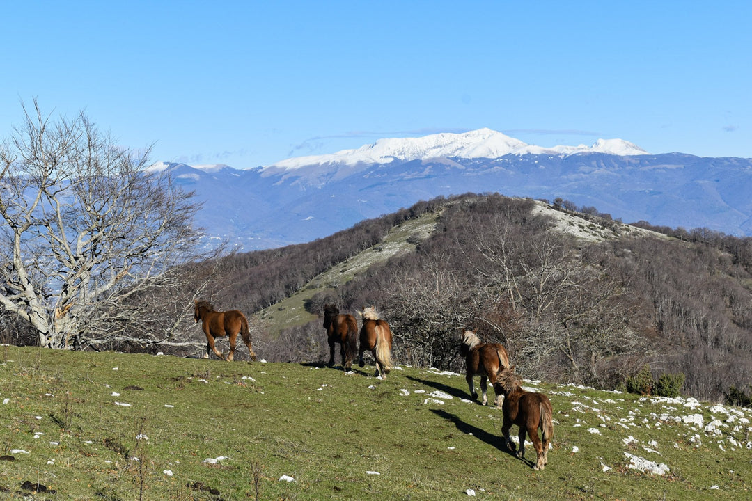 Le Creste del Monte Pizzuto e le Pozze del Diavolo - Strike Adventure
