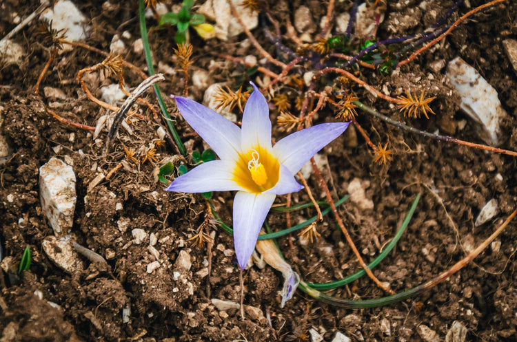 Le Creste del Monte Pizzuto e le Pozze del Diavolo - Strike Adventure
