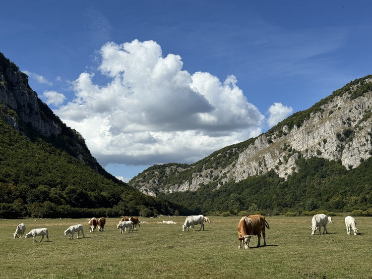 Le Gole Di Celano, Il Canyon Più Lungo D’Europa - Strike Adventure