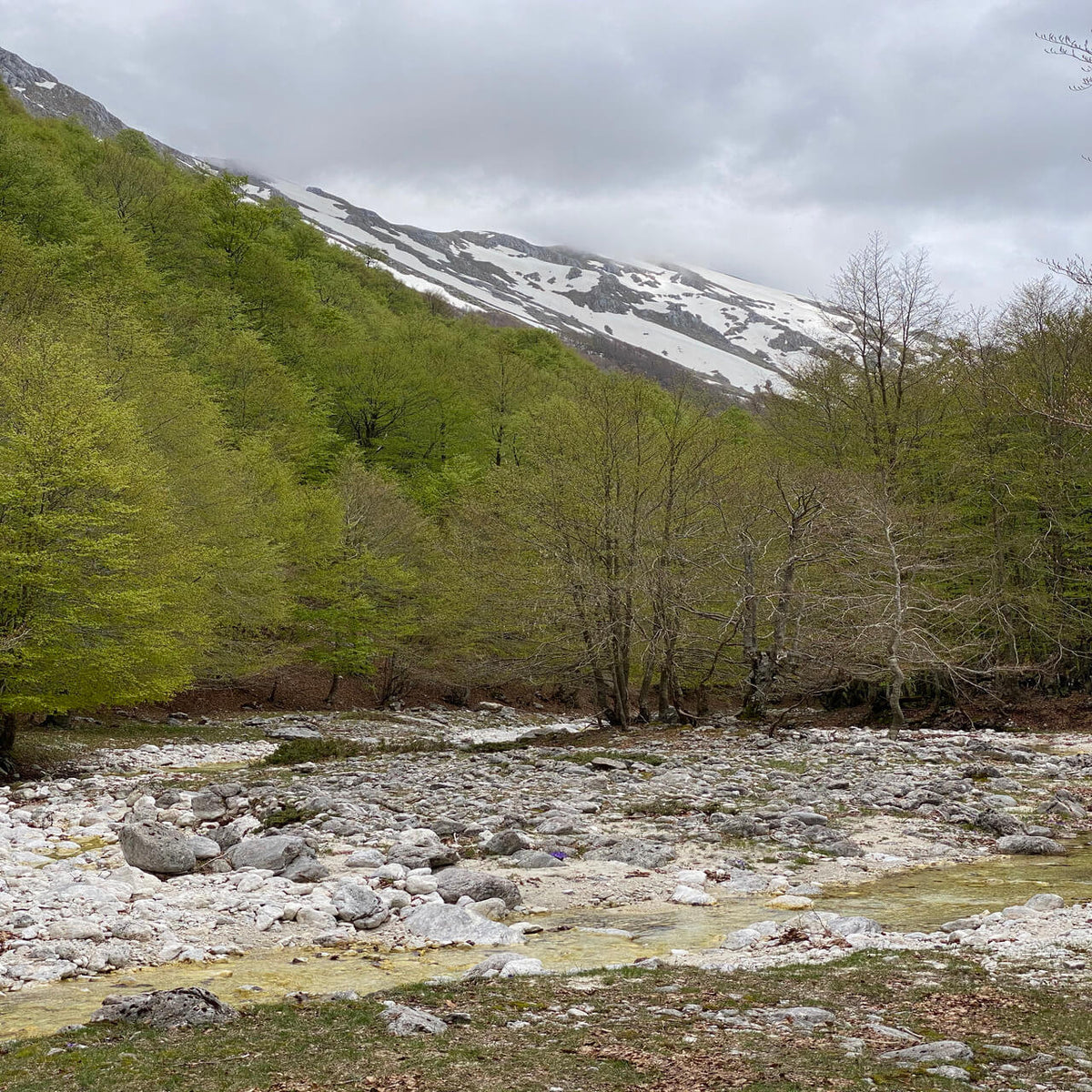 Trekking Le Spettacolari Cascate della Val Canneto | Strike Adventure