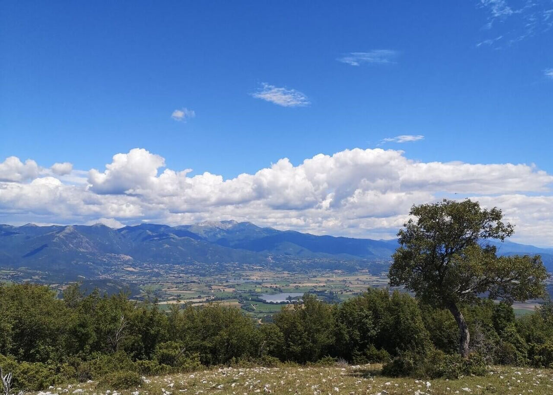 Trekking L'anello dell’Eremo di Greccio e del Colle della Tavola e i Mercatini di Natale | Strike Adventure