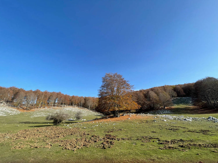 Monte Calvo e i panorami che ispirarono il genio di Ennio Morricone - Strike Adventure