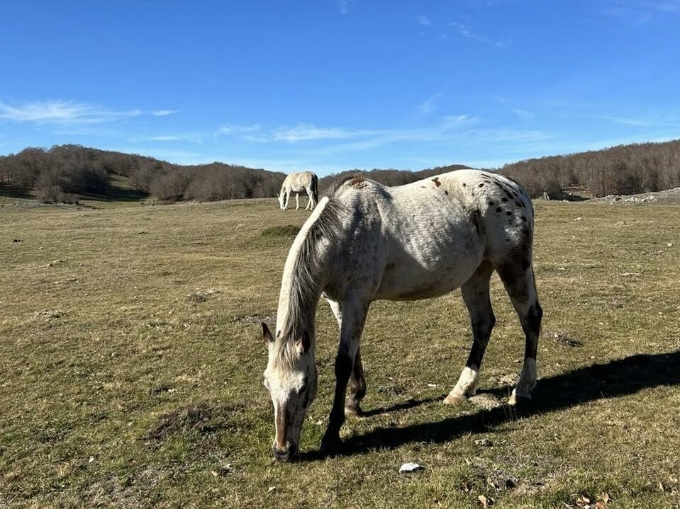Monte Calvo e i panorami che ispirarono il genio di Ennio Morricone - Strike Adventure
