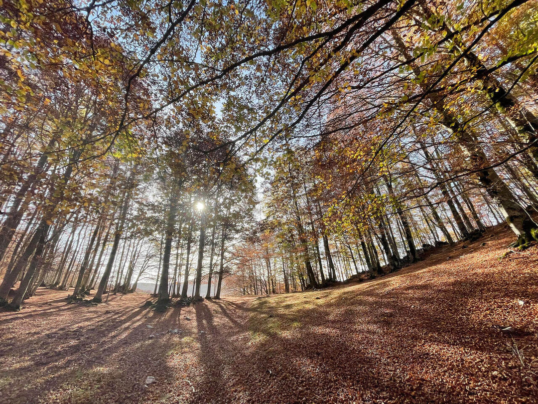 Monte Calvo e i panorami che ispirarono il genio di Ennio Morricone - Strike Adventure