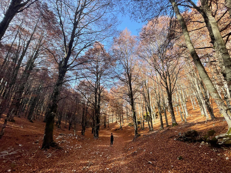 Monte Calvo e i panorami che ispirarono il genio di Ennio Morricone - Strike Adventure